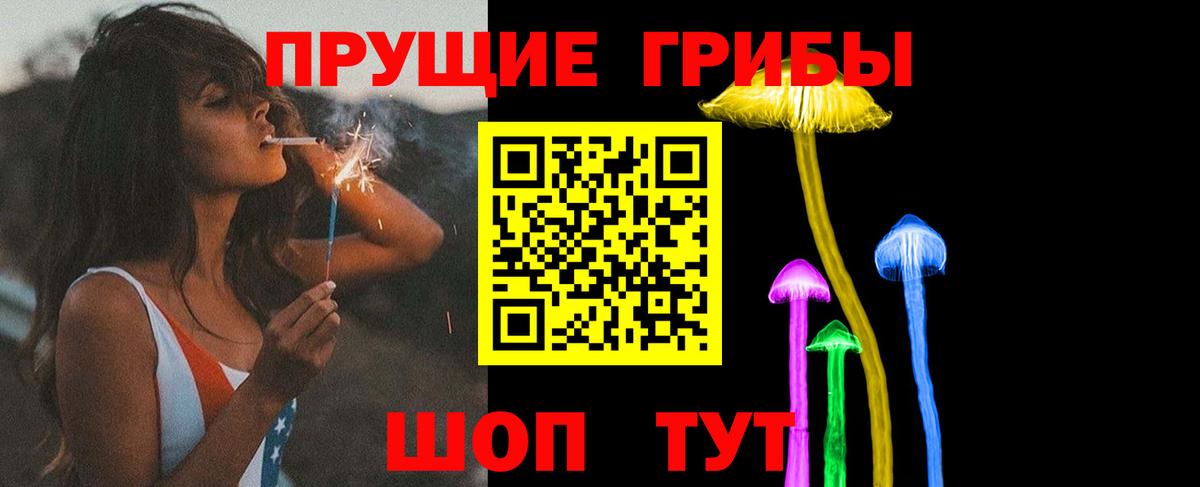 Бийск  Псилоцибиновые грибы Magic Shrooms  Псилоцибиновые грибы Magic Shrooms  Вход с VPN 